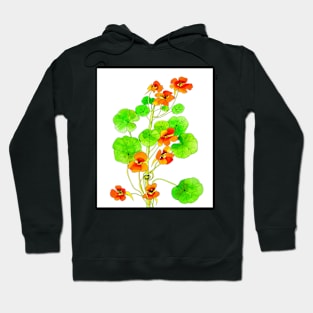 Nasturtiums Hoodie